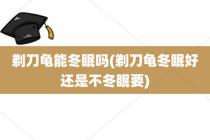 剃刀龟能冬眠吗(剃刀龟冬眠好还是不冬眠要)