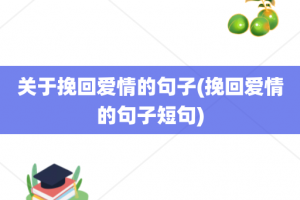 关于挽回爱情的句子(挽回爱情的句子短句)