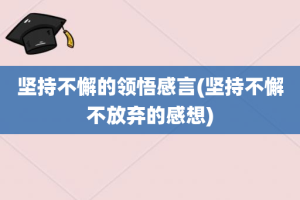 坚持不懈的领悟感言(坚持不懈不放弃的感想)