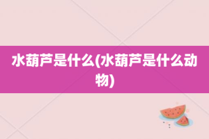 水葫芦是什么(水葫芦是什么动物)