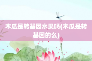 木瓜是转基因水果吗(木瓜是转基因的么)