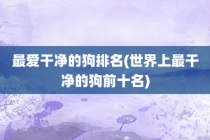 最爱干净的狗排名(世界上最干净的狗前十名)