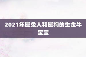 2021年属兔人和属狗的生金牛宝宝