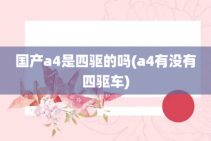 国产a4是四驱的吗(a4有没有四驱车)