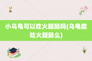 小乌龟可以吃火腿肠吗(乌龟能吃火腿肠么)