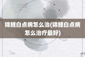 锦鲤白点病怎么治(锦鲤白点病怎么治疗最好)