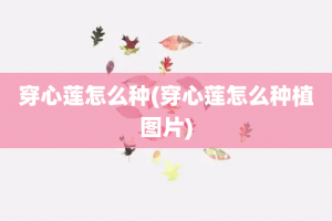 穿心莲怎么种(穿心莲怎么种植图片)