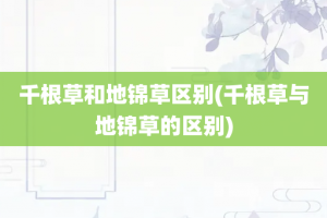 千根草和地锦草区别(千根草与地锦草的区别)
