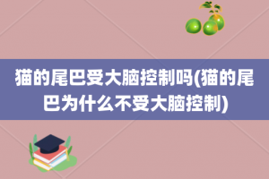 猫的尾巴受大脑控制吗(猫的尾巴为什么不受大脑控制)