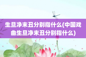 生旦净末丑分别指什么(中国戏曲生旦净末丑分别指什么)