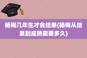 杨梅几年生才会结果(杨梅从结果到成熟需要多久)
