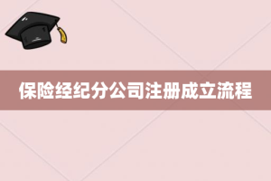 保险经纪分公司注册成立流程