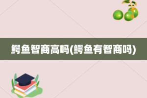 鳄鱼智商高吗(鳄鱼有智商吗)
