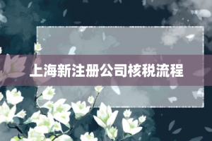 上海新注册公司核税流程