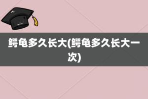 鳄龟多久长大(鳄龟多久长大一次)