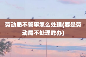 劳动局不管事怎么处理(要是劳动局不处理咋办)