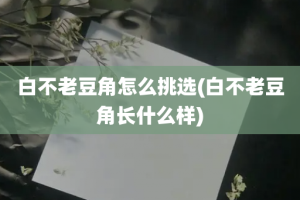 白不老豆角怎么挑选(白不老豆角长什么样)