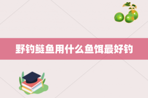 野钓鲢鱼用什么鱼饵最好钓