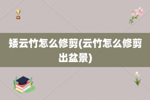 矮云竹怎么修剪(云竹怎么修剪出盆景)