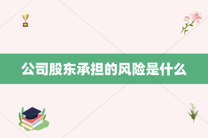 公司股东承担的风险是什么