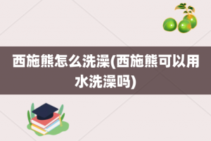 西施熊怎么洗澡(西施熊可以用水洗澡吗)