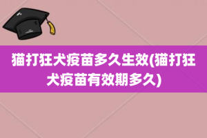 猫打狂犬疫苗多久生效(猫打狂犬疫苗有效期多久)