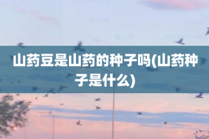 山药豆是山药的种子吗(山药种子是什么)