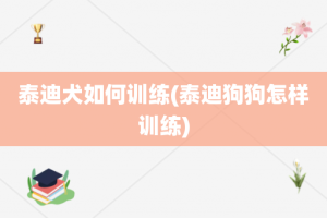泰迪犬如何训练(泰迪狗狗怎样训练)