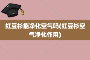 红豆杉能净化空气吗(红豆杉空气净化作用)