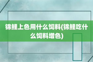 锦鲤上色用什么饲料(锦鲤吃什么饲料增色)