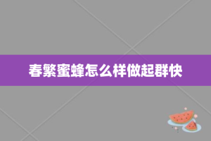 春繁蜜蜂怎么样做起群快