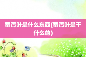 番泻叶是什么东西(番泻叶是干什么的)