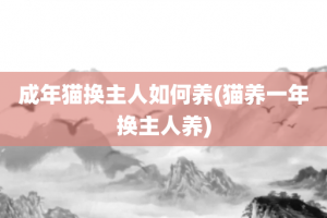 成年猫换主人如何养(猫养一年换主人养)