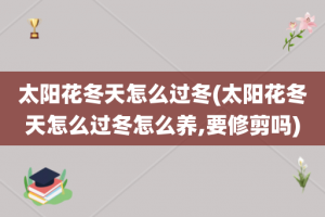 太阳花冬天怎么过冬(太阳花冬天怎么过冬怎么养,要修剪吗)
