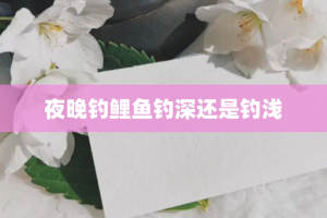 夜晚钓鲤鱼钓深还是钓浅