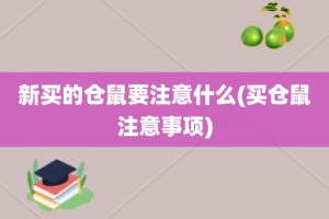 新买的仓鼠要注意什么(买仓鼠注意事项)