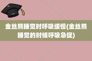 金丝熊睡觉时呼吸缓慢(金丝熊睡觉的时候呼吸急促)
