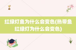 红绿灯鱼为什么会变色(热带鱼红绿灯为什么会变色)