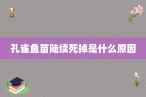 孔雀鱼苗陆续死掉是什么原因