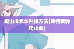 爬山虎怎么种植方法(如何栽种爬山虎)