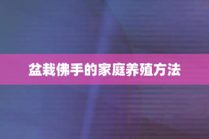 盆栽佛手的家庭养殖方法