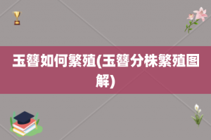 玉簪如何繁殖(玉簪分株繁殖图解)