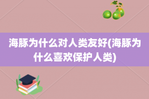 海豚为什么对人类友好(海豚为什么喜欢保护人类)