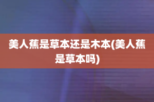 美人蕉是草本还是木本(美人蕉是草本吗)