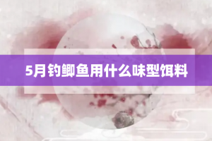 5月钓鲫鱼用什么味型饵料