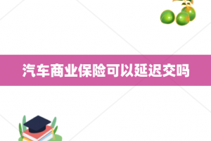 汽车商业保险可以延迟交吗