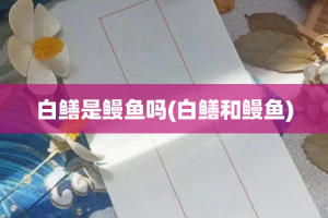 白鳝是鳗鱼吗(白鳝和鳗鱼)