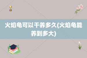 火焰龟可以干养多久(火焰龟能养到多大)