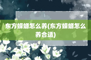 东方蝾螈怎么养(东方蝾螈怎么养合适)