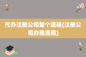代办注册公司整个流程(注册公司办理流程)
